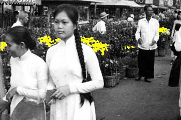 crowded-street-of-flowers-of-nguyen-hue-at-tet-the-vietnamese-new-year_6832921835_o