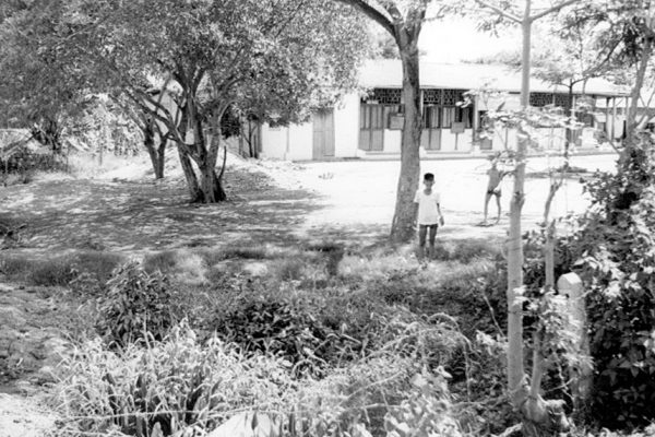 saigon-1965---trng-tiu-hc-sao-mai_15223952473_o