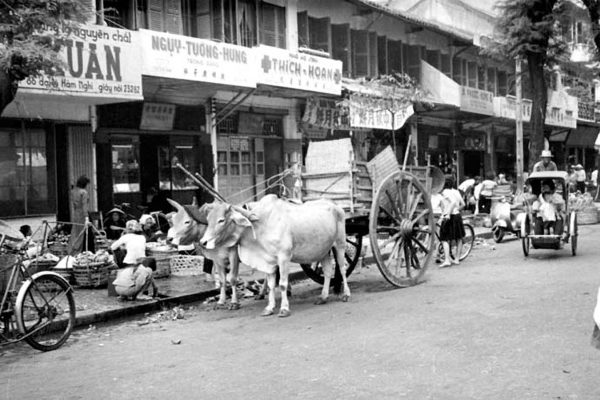 a-cattle-led-cart-on-a-busy-street---ng-tn-tht-m-ch-c_8467174250_o