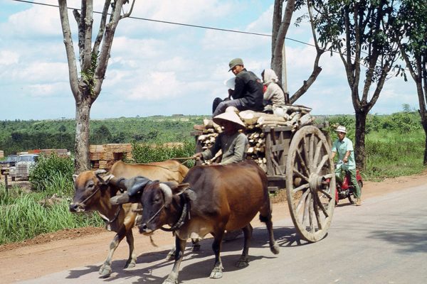 ngoi--sg-1966-13-by-george-slater_4033832052_o