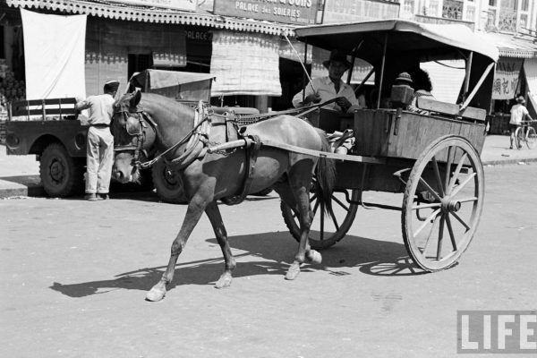 saigon-1950---horse-cart---rue-vinot-nay-l-ng-phan-bi-chu-bn-hng-ch-bn-thnh-photo-by-carl-mydans_8466077731_o