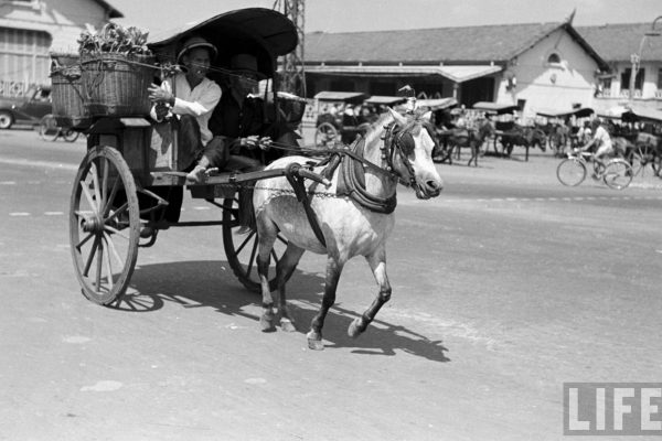 saigon-1950---horse-cart_8466077845_o