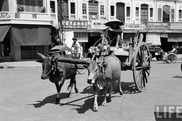 saigon-1950---photo-by-carl-mydans_16038775643_o