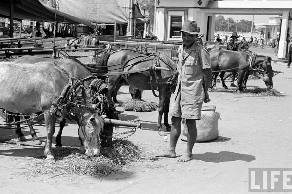 saigon-1950---photo-by-carl-mydans_16090072493_o