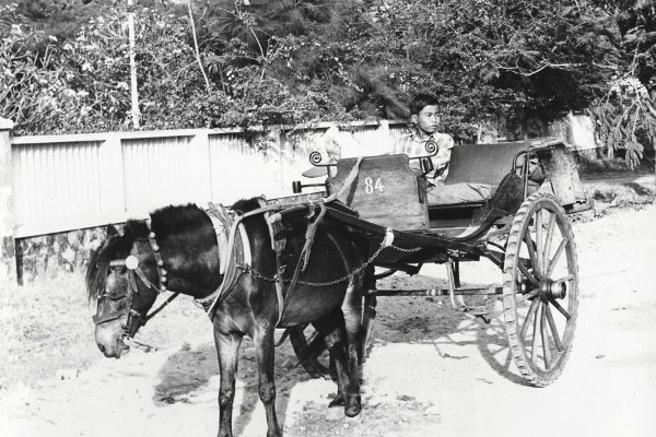 vietnam-1968---vng-tu_15187665762_o