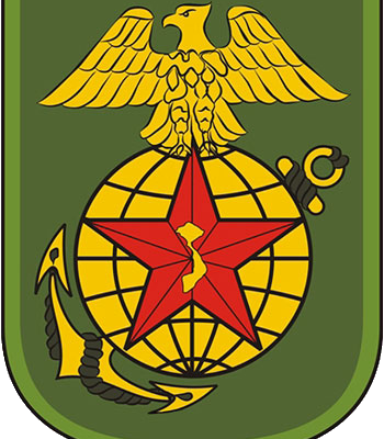 Shoulder Sleeve Insignia of the Republic of Vietnam Marine Division