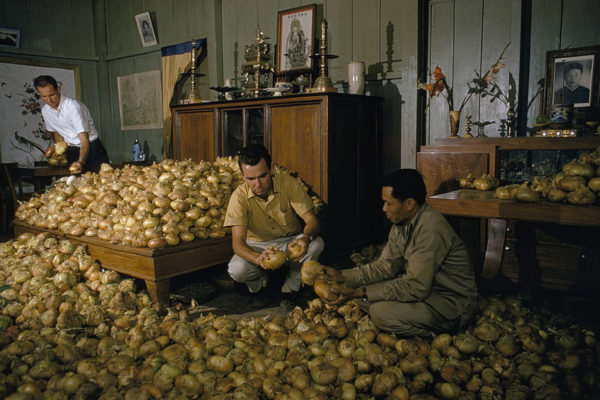 VIETNAM - OCTOBER 10:  Two Americans and a local farmer inspect hordes of onions in a room, Da Lat, Vietnam  (Photo by Wilbur E. Garrett/National Geographic/Getty Images)